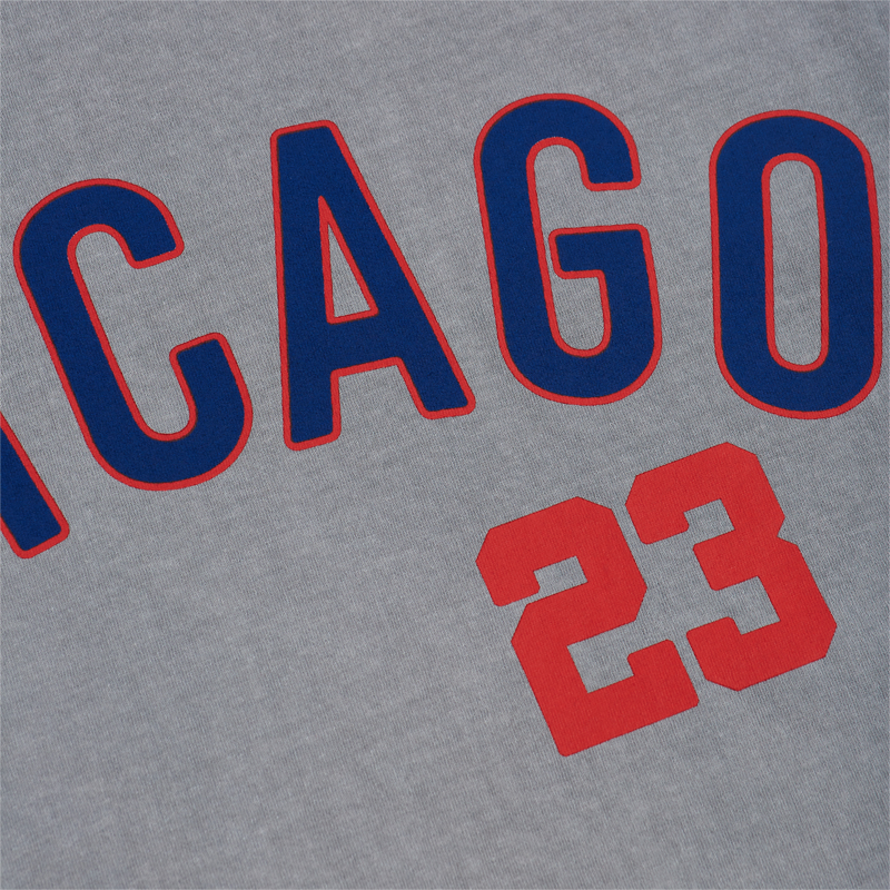 Stevenson Ranch x Chicago "Veeck" Tee (Grey)