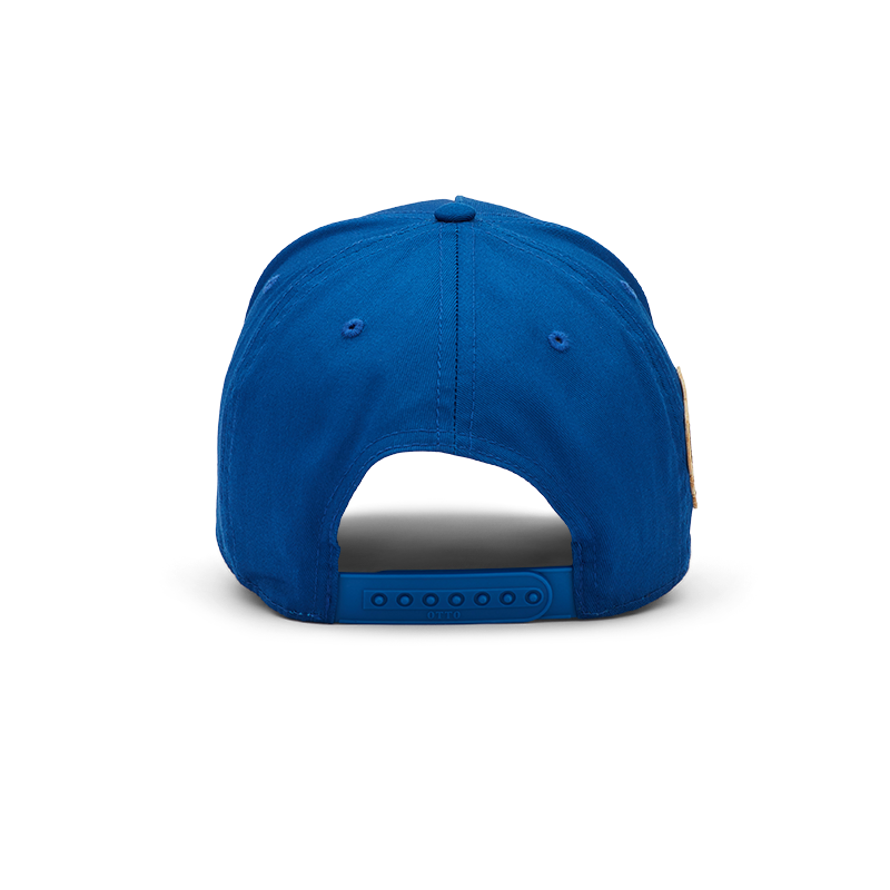 Stevenson Ranch x Chicago "Fly The W" Hat (Blue)