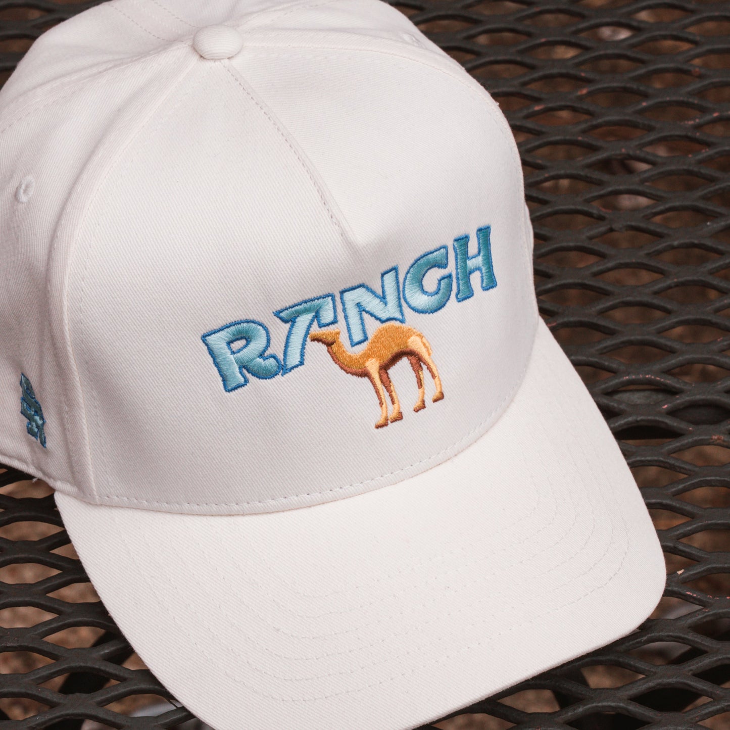 Stevenson Ranch Hat Of The Month Club 🌵