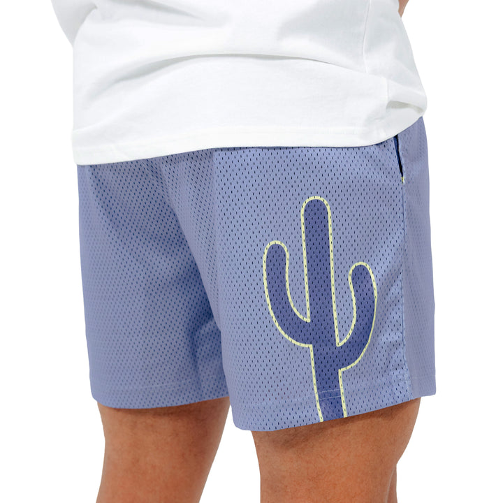 Varsity Mesh Shorts (Slate/Navy)