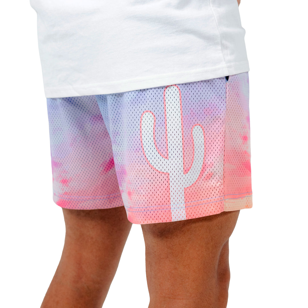 Varsity Mesh Shorts (Cotton Candy)