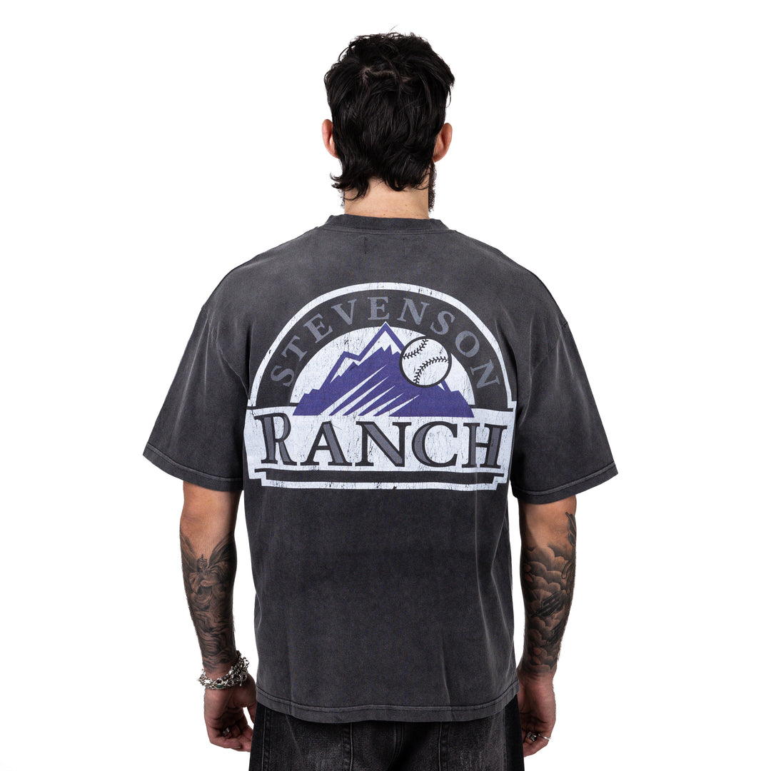 Red Rocks Rockies Tee (Vintage Black)