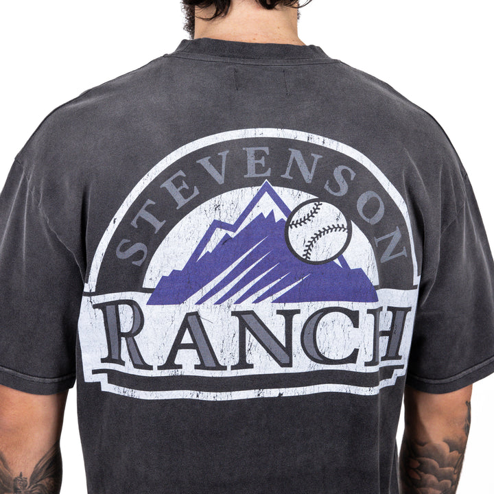 Red Rocks Rockies Tee (Vintage Black)
