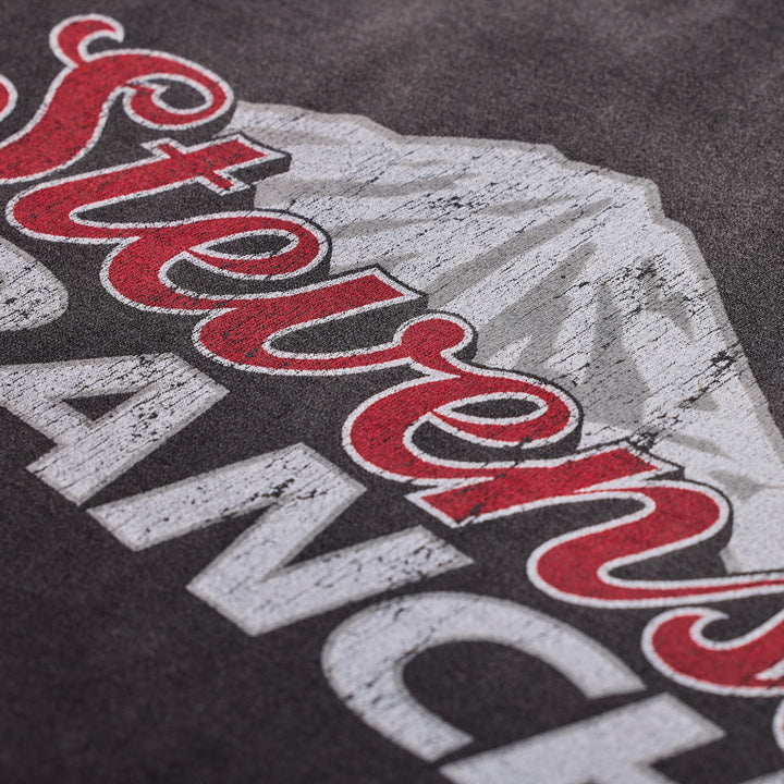 Red Rocks Coors Tee (Vintage Black)