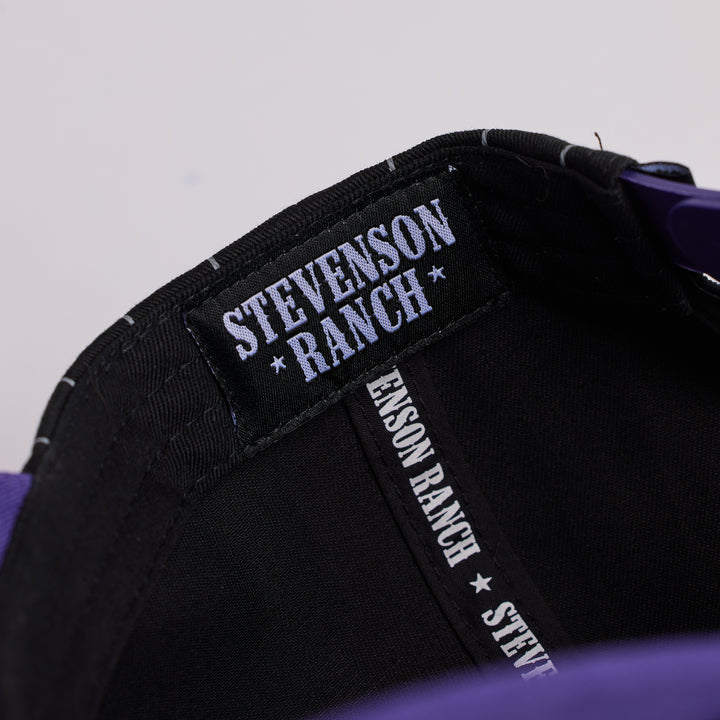 Pinstripe Unstructured Hat (Black/Purple)