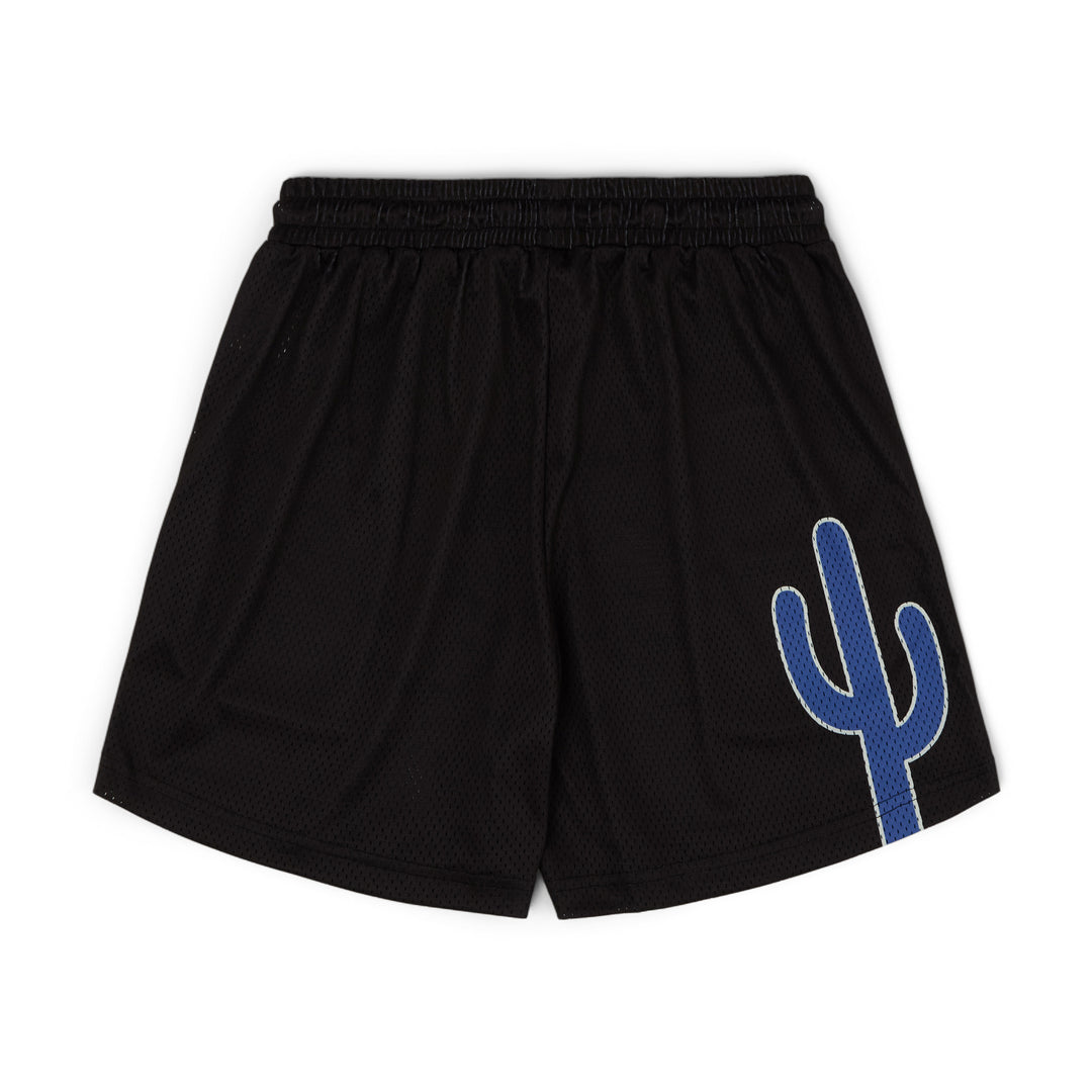 Varsity Mesh Shorts (Black/Blue)