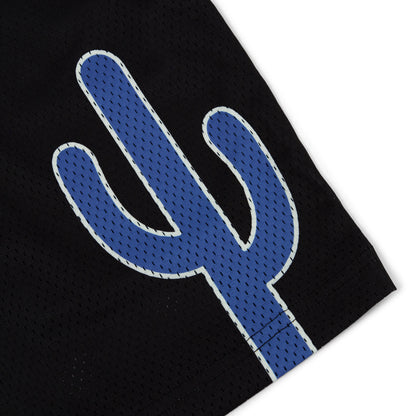 Varsity Mesh Shorts (Black/Blue)