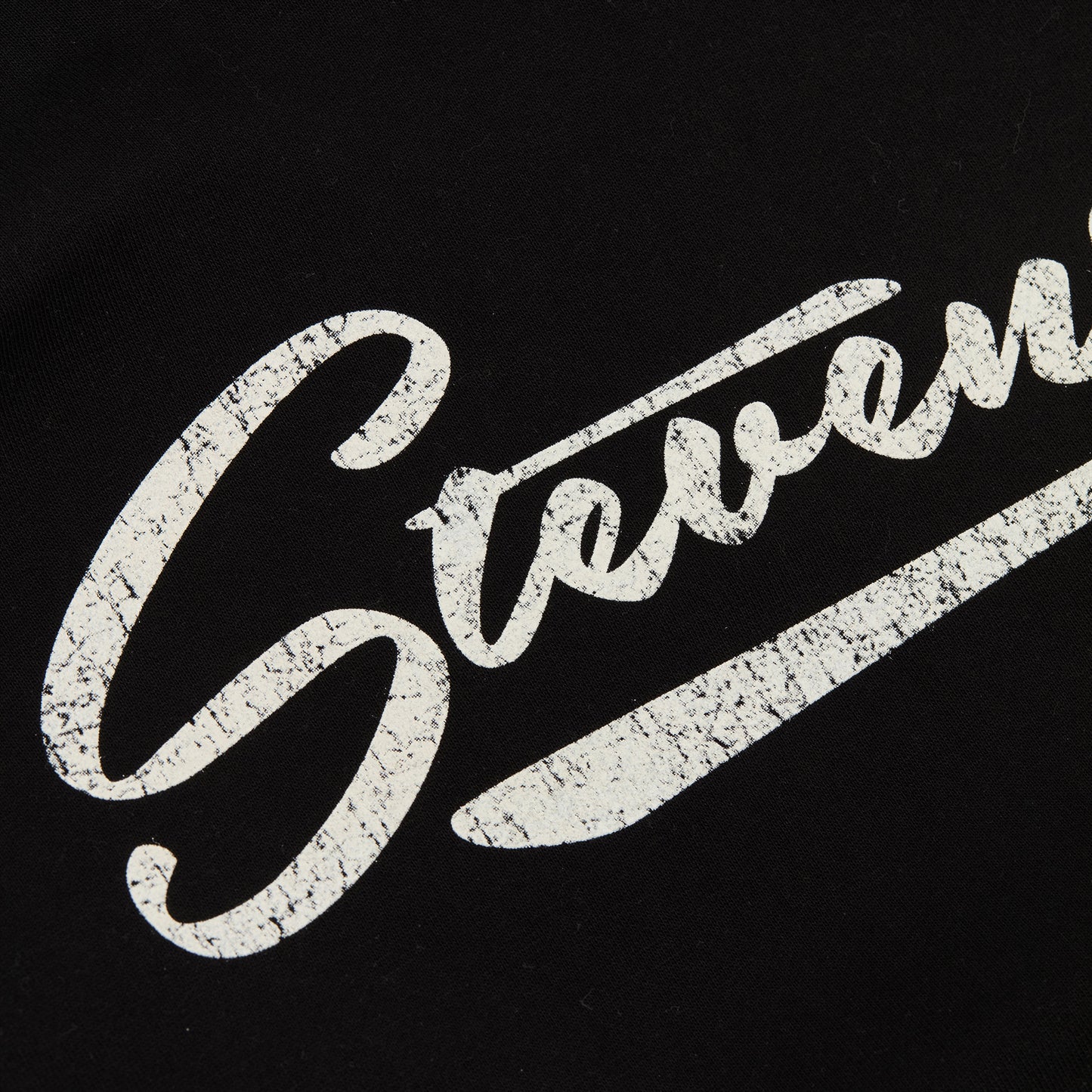 Steadfast Hoodie - Vintage Script (Black)
