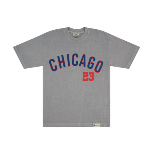 Stevenson Ranch x Chicago "Veeck" Tee (Grey)