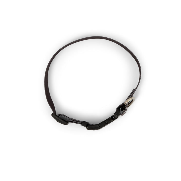 Dog Collar (Black)
