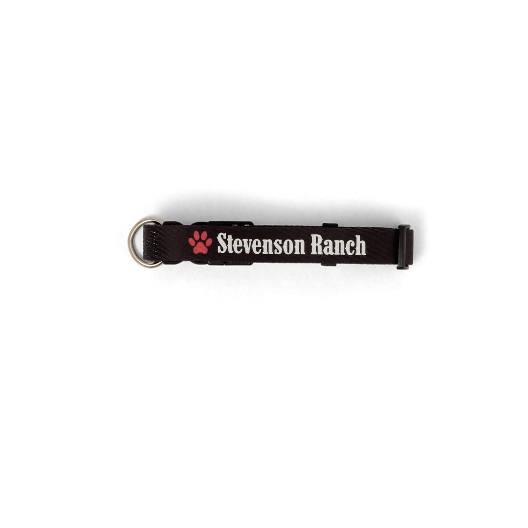 Dog Collar (Black)