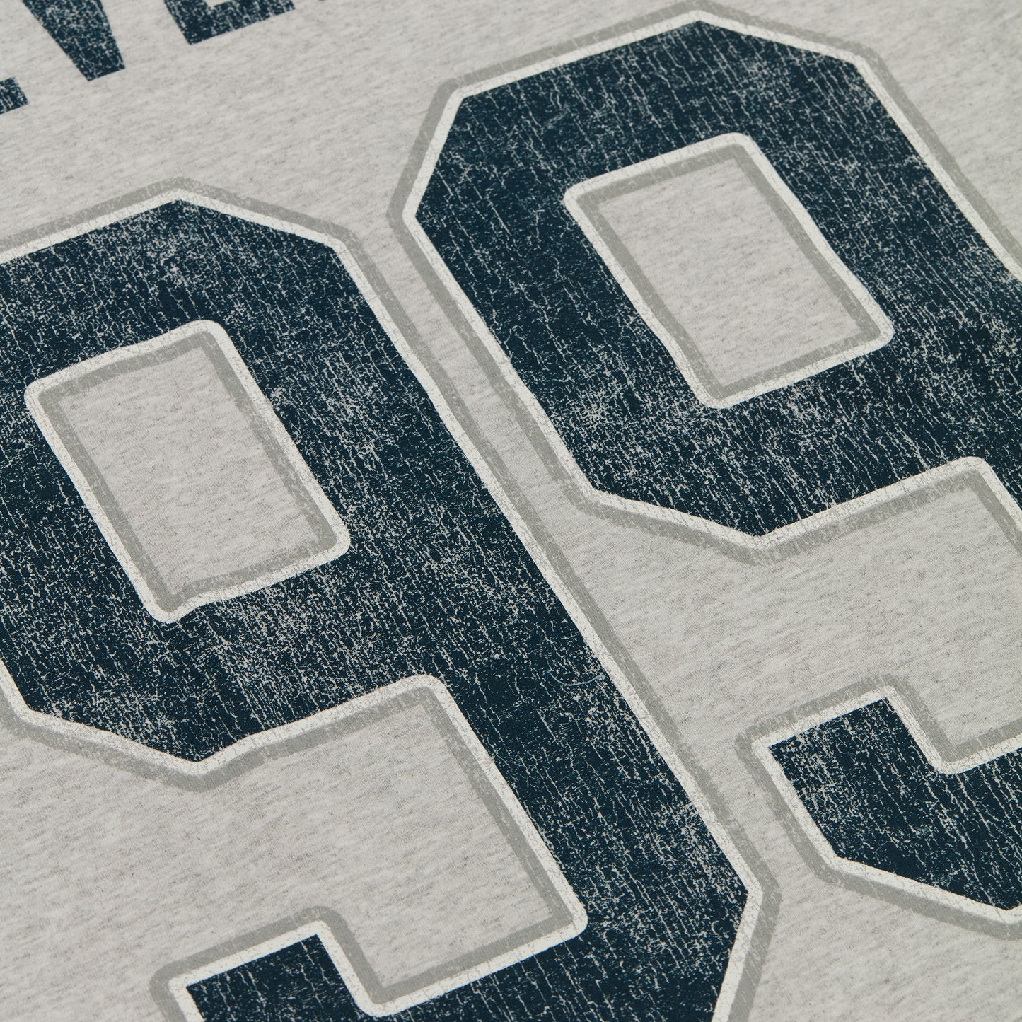 Stevenson Ranch x LA "Wayno" Tee (Ash Grey)