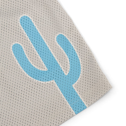 Varsity Mesh Shorts (Grey/Blue)