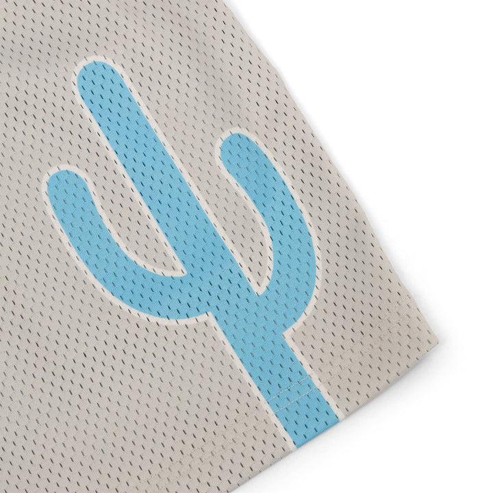 Varsity Mesh Shorts (Grey/Blue)