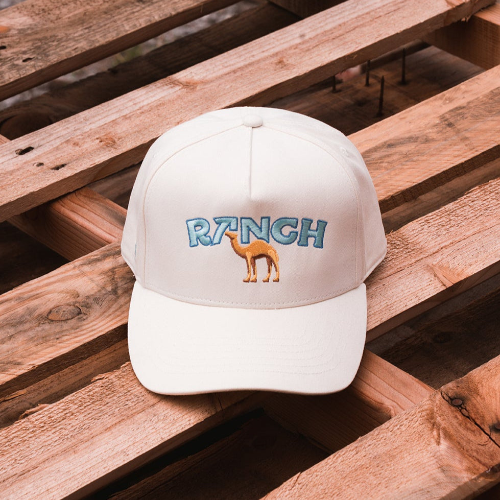 Stevenson Ranch Hat Of The Month Club 🌵