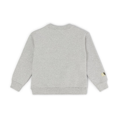 Kids Steadfast Crewneck (Grey)