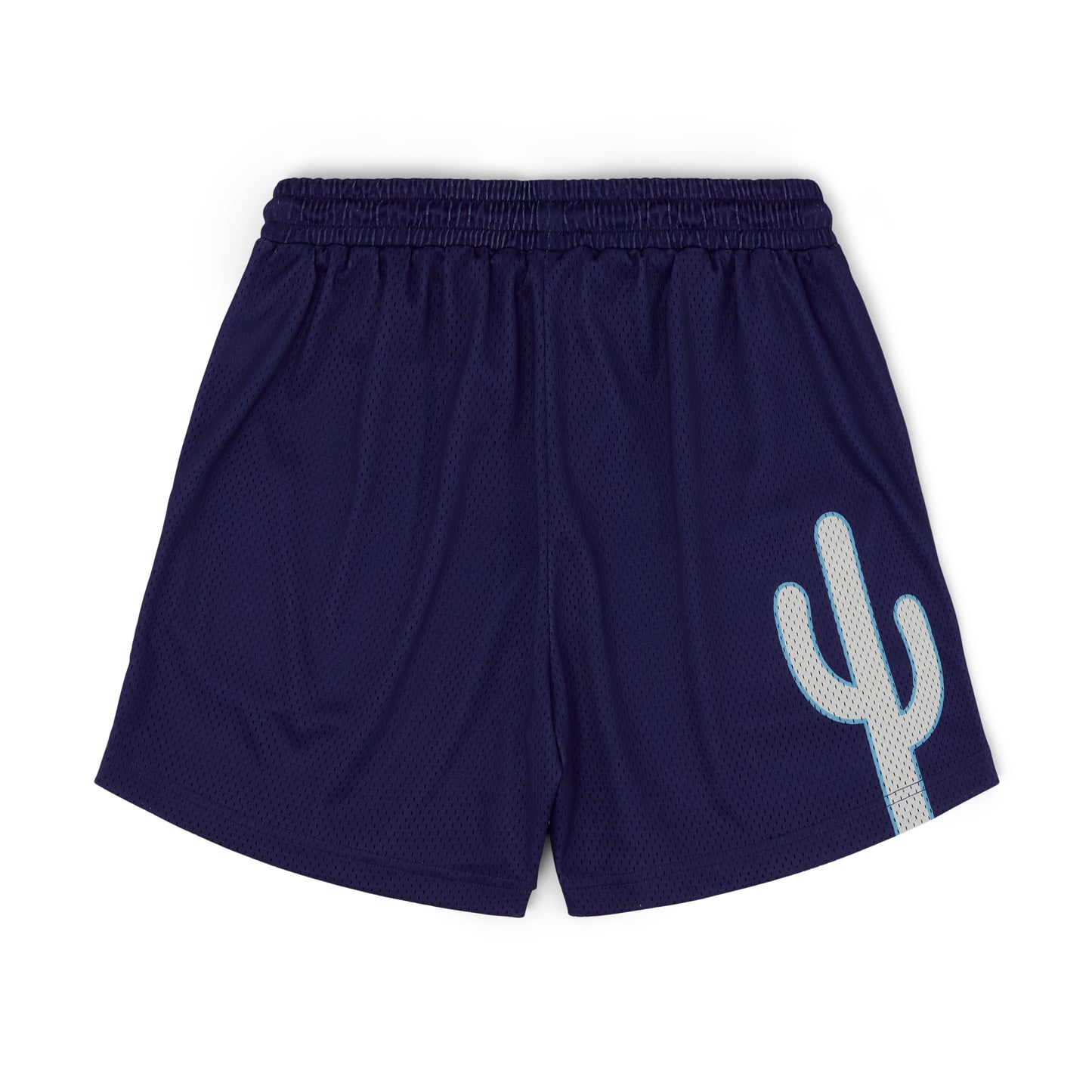 Varsity Mesh Shorts (Navy/White)