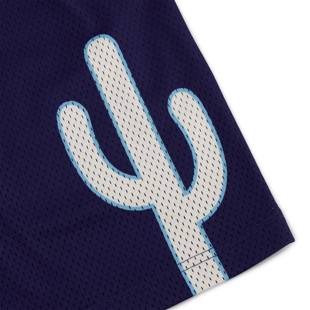 Varsity Mesh Shorts (Navy/White)