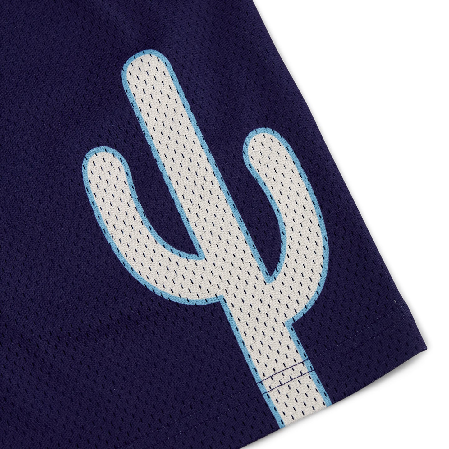 Varsity Mesh Shorts (Navy/White)