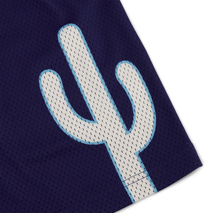Varsity Mesh Shorts (Navy/White)