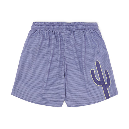 Varsity Mesh Shorts (Slate/Navy)