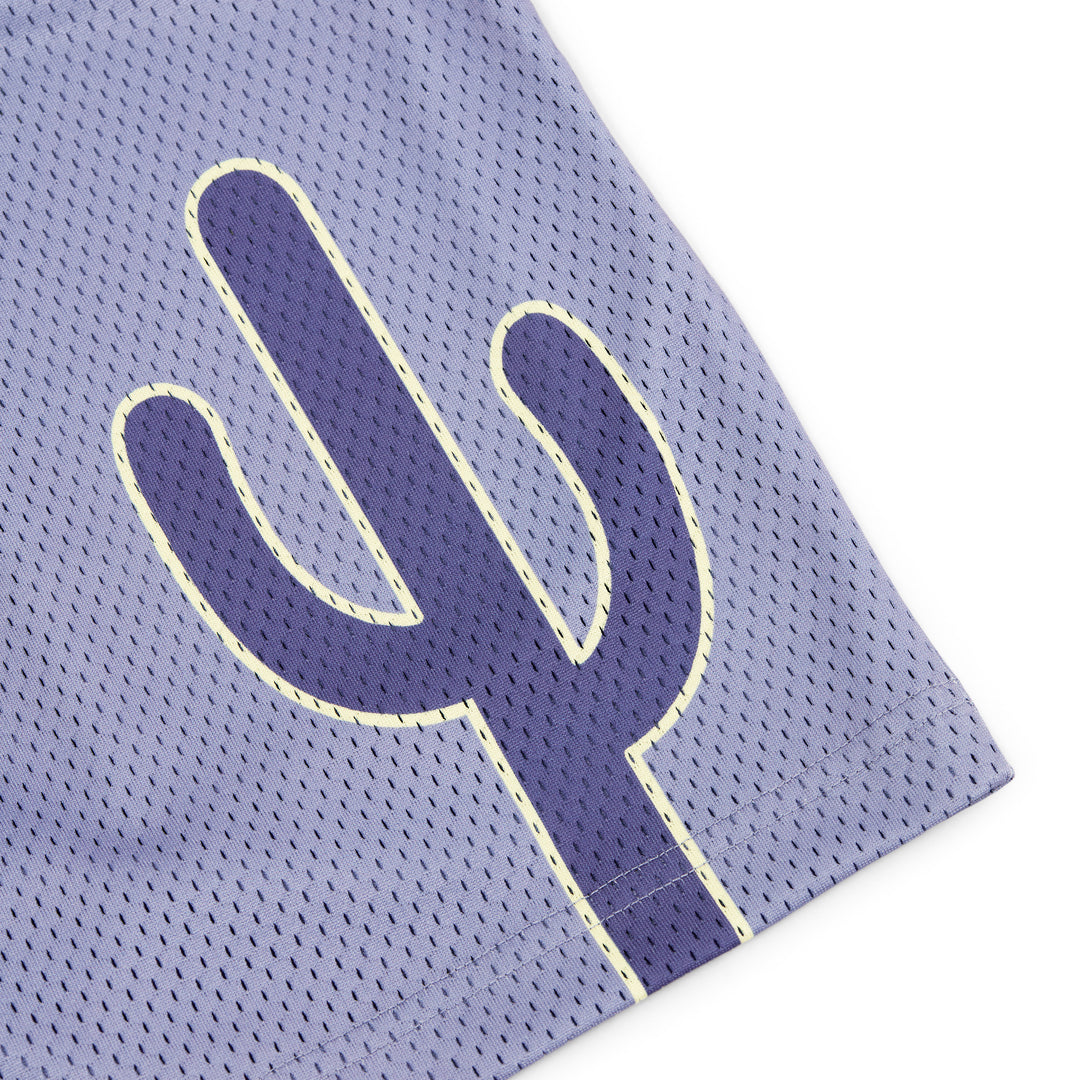 Varsity Mesh Shorts (Slate/Navy)