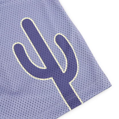 Varsity Mesh Shorts (Slate/Navy)