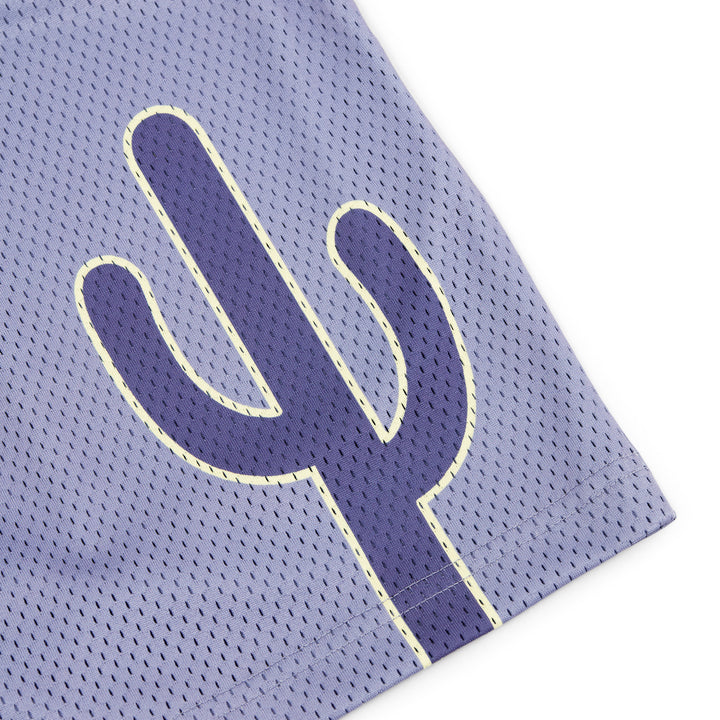 Varsity Mesh Shorts (Slate/Navy)