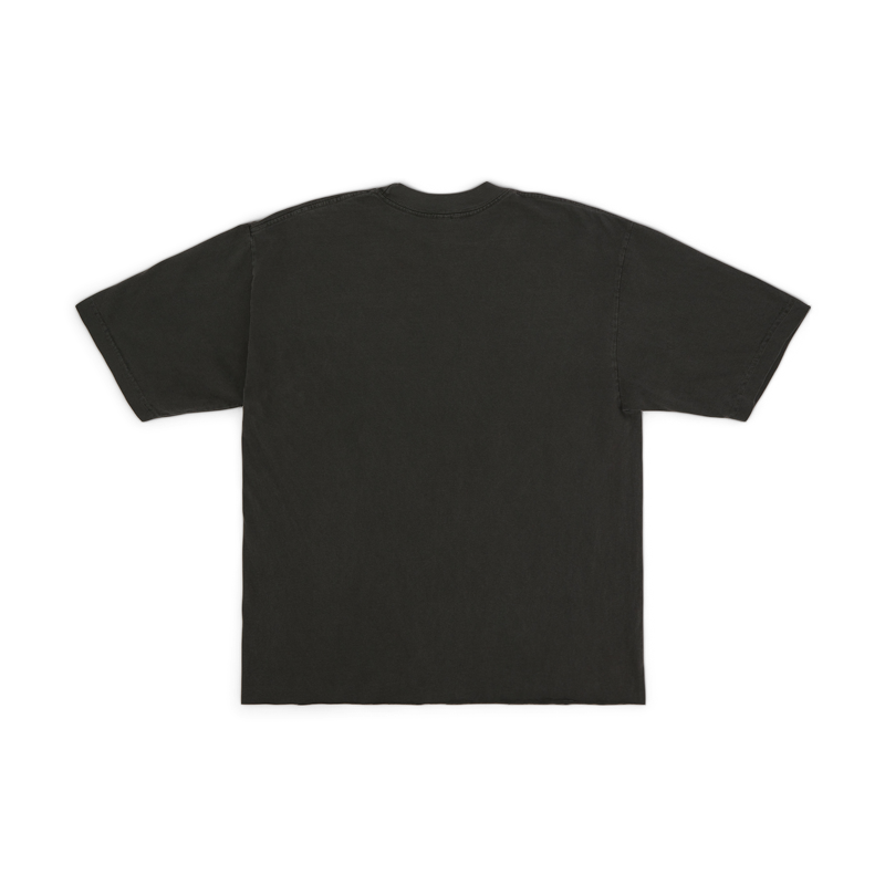 Allegiance Crop Tee (Vintage Black)