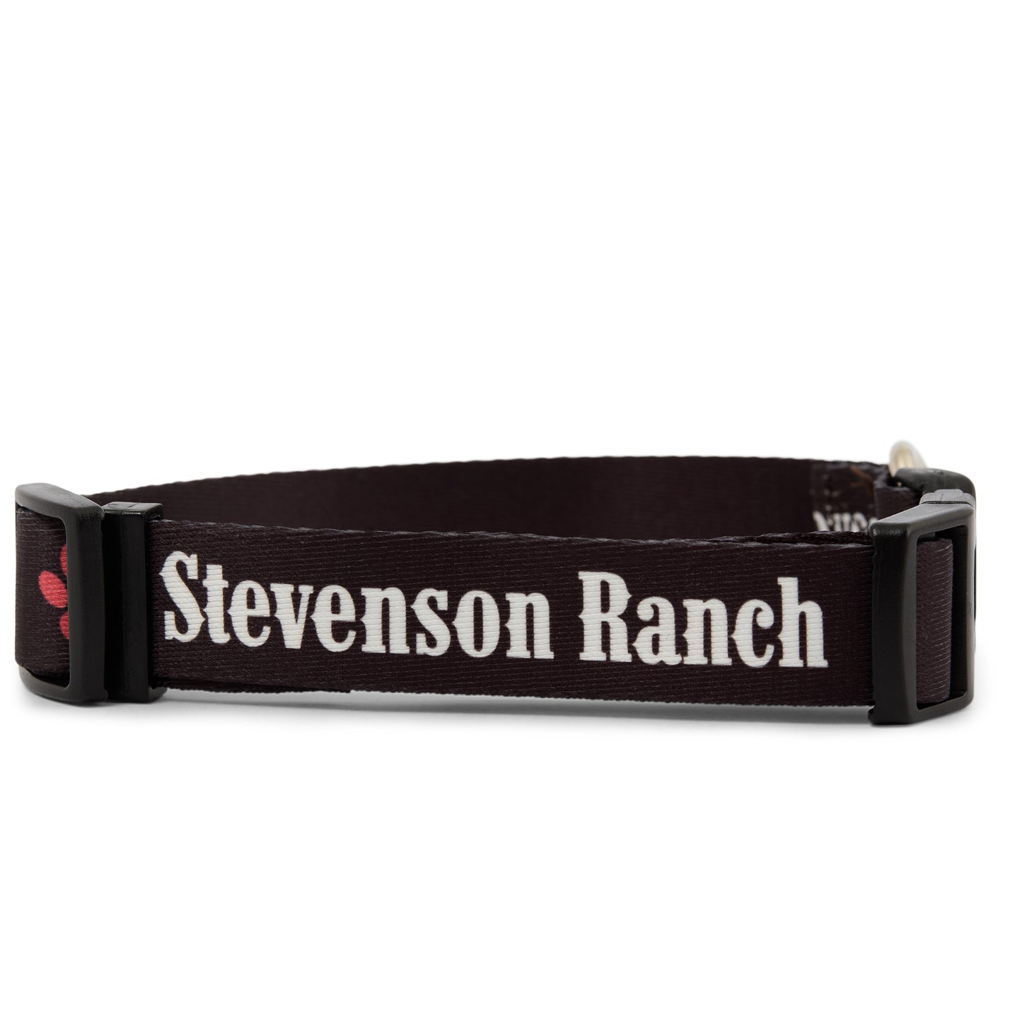 Dog Collar (Black)