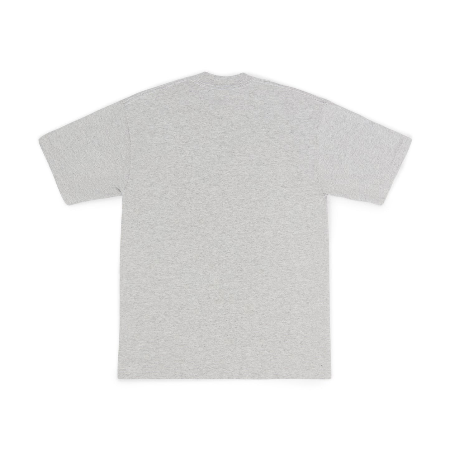 Stevenson Ranch x Arizona "Nashty" Tee (Ash Grey)