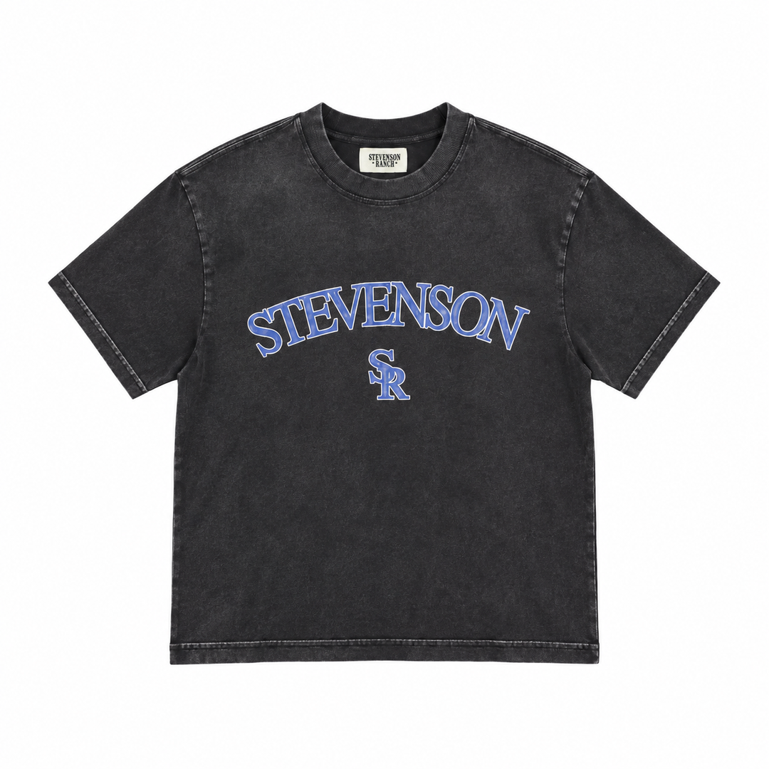 Red Rocks Rockies Tee (Vintage Black)