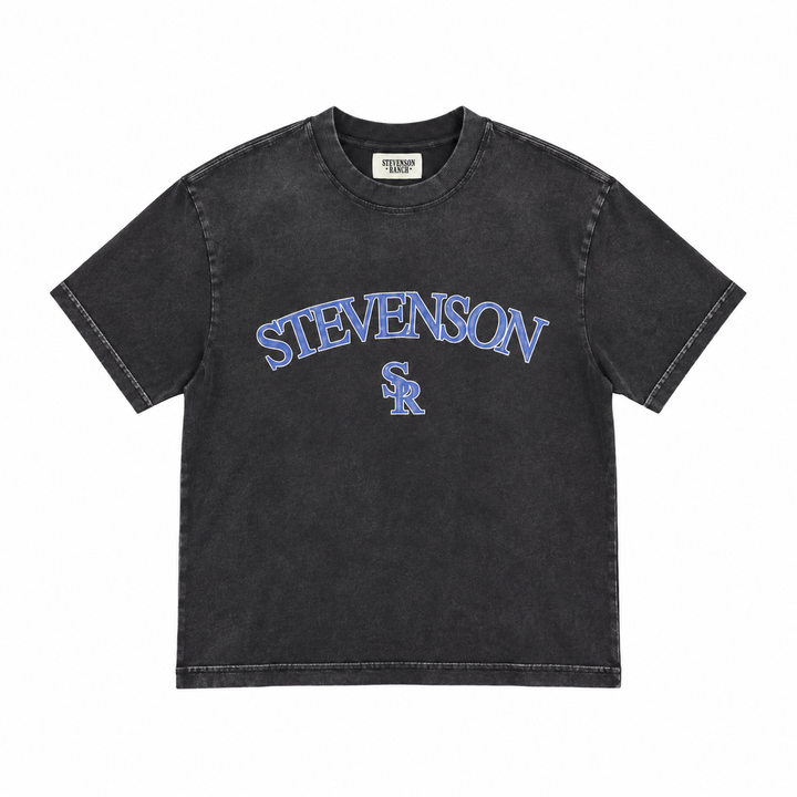 Red Rocks Rockies Tee (Vintage Black)