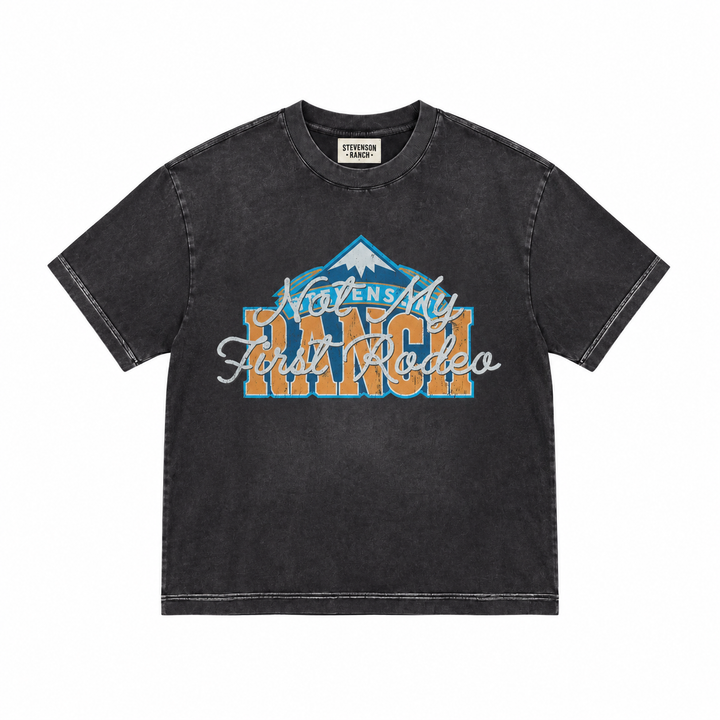 Red Rocks Nuggets Tee (Vintage Black)