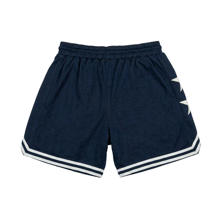 Throwback Mesh Shorts (Navy/White)